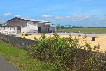 Dijual gudang selep siap pakai Kesamben, Jombang