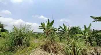 Dijual Tanah Belakang Perumahan Atmosphere Sentul City, Bogor