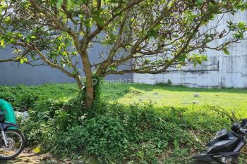 Tanah kavling di area one gate sistem nieuw indie