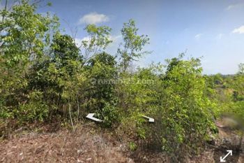 Dijual Tanah Komersil di Unggasan Bali