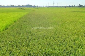 Tanah di Poros Malino, Teknik Unhas, Bontomarannu

, Gowa