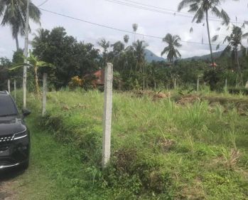 Jual Tanah Murah 5 are View Sawah Desa Wisata