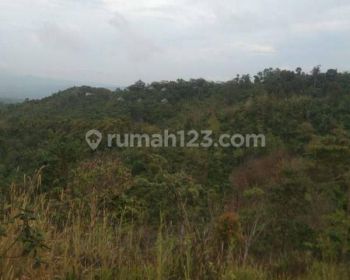 Hot List Di Jual Tanah Lokasi Munduk Gesing Banjar Buleleng