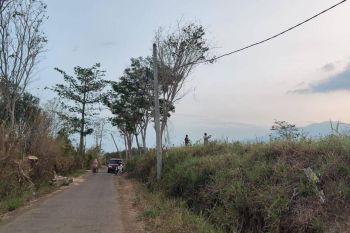 Tanah Luas dan Murah di Poros Jalan Aspal Di Bocek Kab Malang