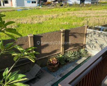 Villa 3 Br Padonan Dengan Suasana Sawah Sekitarnya