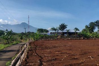 Tanah Murah di Ciomas Kabupaten Bogor View Gunung Salak