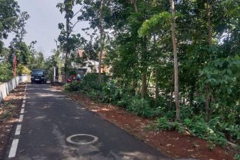 Dijual Cepat tanah Gunung Pati Semarang, Termurah