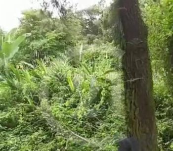 Dijual Kavling di Bukit Hambalang North Ridge Golf Estate Bukit Sentul