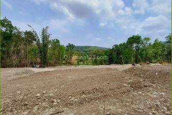 Tanah Jogja Dekat Rs Nur Hidayah, Promo Mulai 850rb an, Bantul