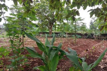Tanah Dekat Kampus Ut Pd. Cabe Bebas Banjir