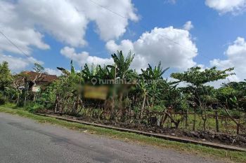 Disewakan Lahan 50 Are di Kerobokan, Kuta Utara