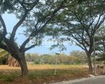 thumbnail-tanah-dalam-komplek-green-court-residence-kapuk-1