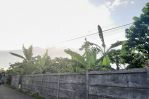 thumbnail-dijual-tanah-dengan-luas-890are-area-seminyak-2