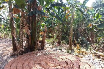 Tanah untuk Usaha dan Investasi  di Jalan Cilalung Jombang Ciputat