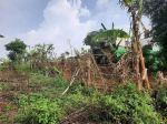 thumbnail-jual-cepat-tanah-beserta-pohon-durian-di-bogor-desa-gobang-0