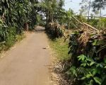thumbnail-jual-cepat-tanah-beserta-pohon-durian-di-bogor-desa-gobang-2
