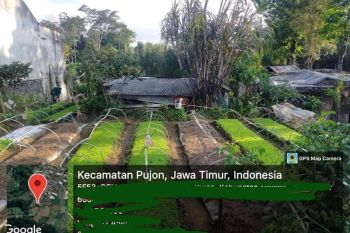 Tanah Luas poros Jalan Raya di Pujon Malang