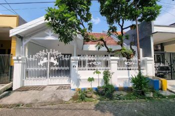 Di Kontrakan Rumah Siap Huni