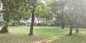 TANAH MURAH - LUAS 3300 M2 HARGA 19,5 JUTA/M2. NEGO  -