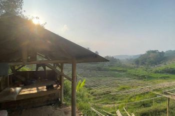 Jual Tanah Murah Ada Air Mengalir 5067 m2 di Darangdan Purwakarta