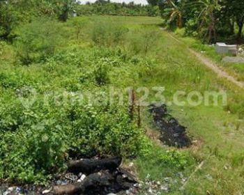 Tanah di tanjakan mekar Rajeg ada 10hektar untuk perumahan