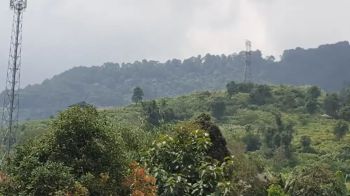 Villa di jual di Cisarua Bogor Jawa barat