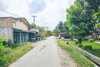 Dijual Tanah Jalan Pematang Johar mesjid