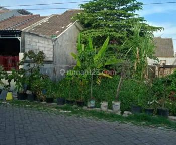 Dijual Tanah Medokan Sawah Timur Rungkut Surabaya Ron.a1434