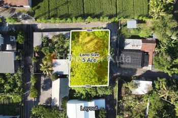 Dijual Tanah 5 Are Di Ketewel Gianyar Area Nyaman Akses Lebar Cocok Untuk Villa