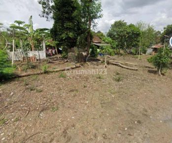 Dijual Tanah Pekarangan Murah Lingkungan Cluster Di Purwomartani