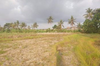 Promo Kaplingan Kawasan Nyambu, Tabanan, Bali