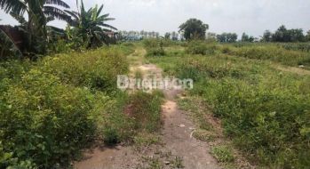 Tanah siap bangun di Jalan Raya Semarang-Gubug