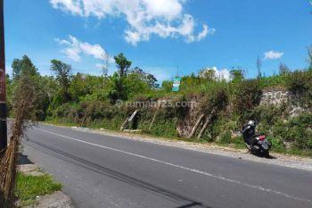 Tanah Pinggir Jalan Utama Kintamani Full View Danau Dan Gunung