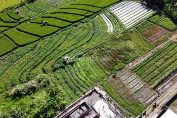 Dijual Tanah Kavling 75-145 m² SHM di Kerobokan Klod Denpasar