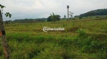 Dijual Tanah Industri Mantup Lamongan
