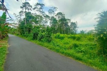 Tanah Pemandangan Bagus Pinggir Jalan Udara Dingin di Purwakarta