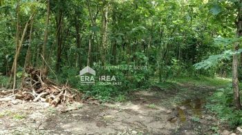 Tanah Murah Sendangsari Pajangan Bantul Area Kuliner Ingkung