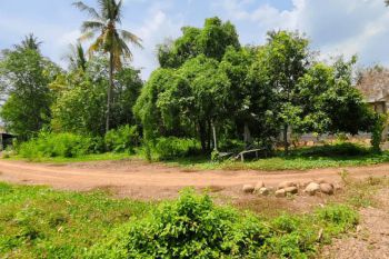 Promo Free Biaya, SHM Per-Unit, Tanah Murah Pekalongan