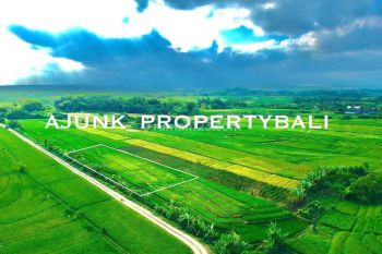 Tanah View Laut & Sawah, 800 meter ke Pantai Kelating Tabanan