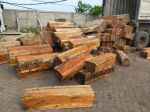thumbnail-wood-industry-manufacturing-in-indonesia-for-sale-6