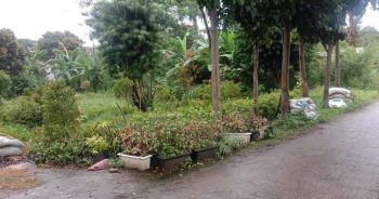 Tanah SHM 1jt-an Dekat Jalan Raya Curug, Gunung Sindur