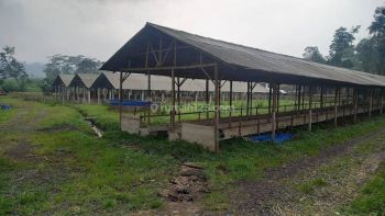 Tanah bangunan dan kandang kosong 6ha di Subang Jawa Barat