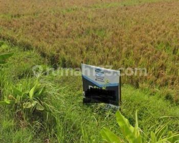 Tanah di Karangbong gedangan sidoarjo nol.jalan samping aim biskuit