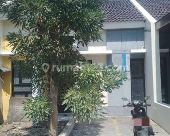 Sewa Rumah siap huni Murah di Segara City Bekasi Utara