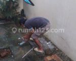 thumbnail-sewa-rumah-siap-huni-murah-di-segara-city-bekasi-utara-6