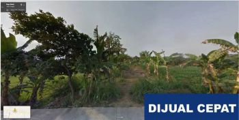Dijual Tanah Jalan Pantura