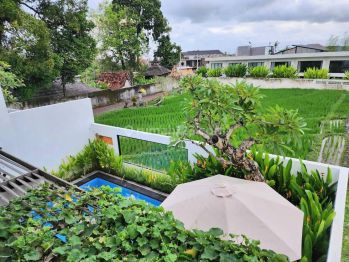 Rice Paddy View 2 Bedroom Villa in Canggu! (VS71WU)