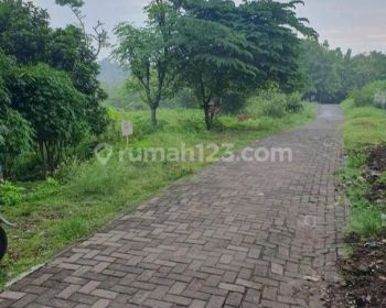 Tanah Tembalang Burangrang Jangli Dekat Undip Tembalang