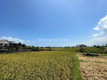 Tanah 2.5 Are Dijual View Sawah Dan Pantai Cemagi