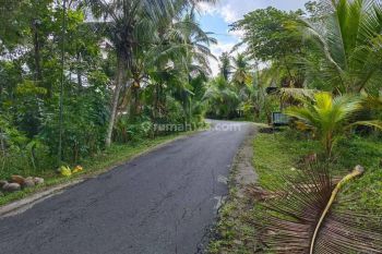 Tanah itr kuning harga murah di tabanan bali.